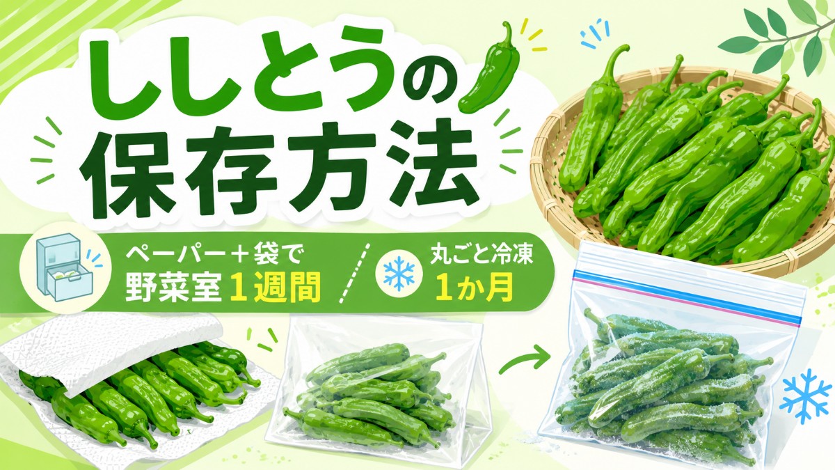 ししとうの保存方法のアイキャッチ画像