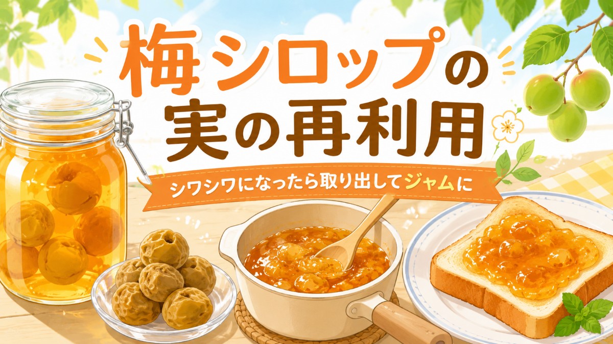 梅シロップの実の再利用のアイキャッチ画像