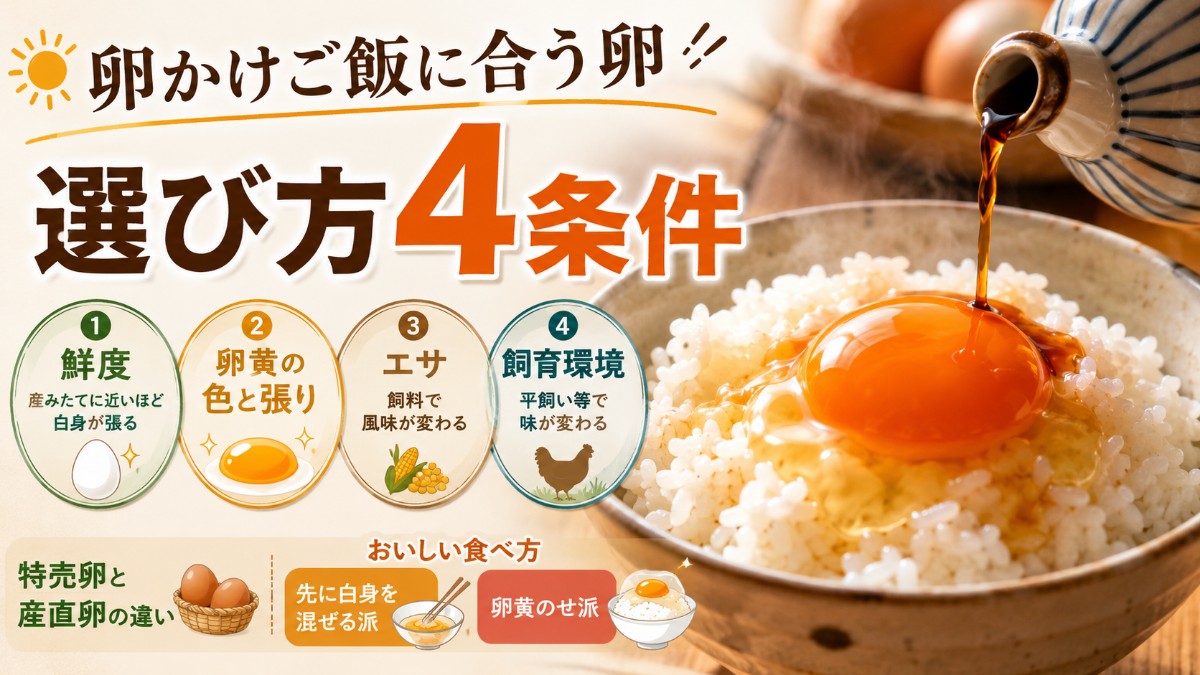 卵かけご飯に合う卵の選び方のアイキャッチ画像