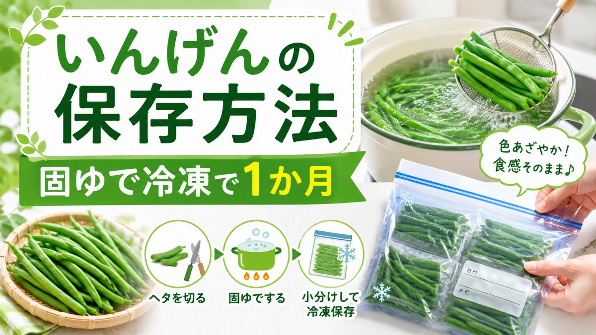いんげんの保存方法のアイキャッチ画像