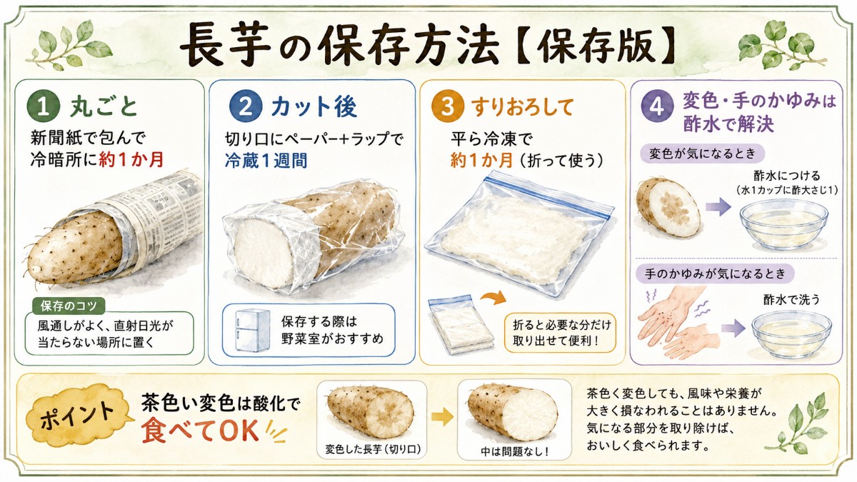 長芋の保存方法レシピカード（丸ごと冷暗所1か月・切り口ガード・すりおろし冷凍のまとめ）
