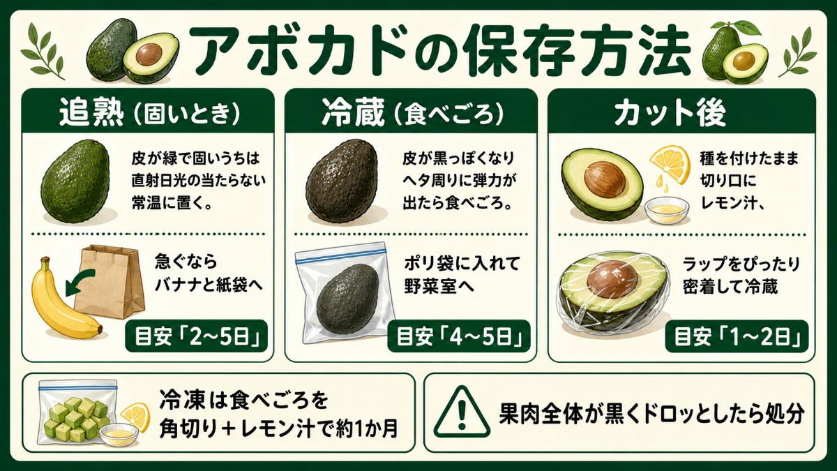 アボカドの保存方法レシピカード（常温追熟・食べごろで野菜室・レモン汁で変色防止のまとめ）