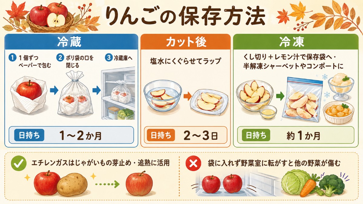 りんごの保存方法レシピカード（ペーパー＋袋で冷蔵1〜2か月・塩水で変色防止・くし切り冷凍のまとめ）