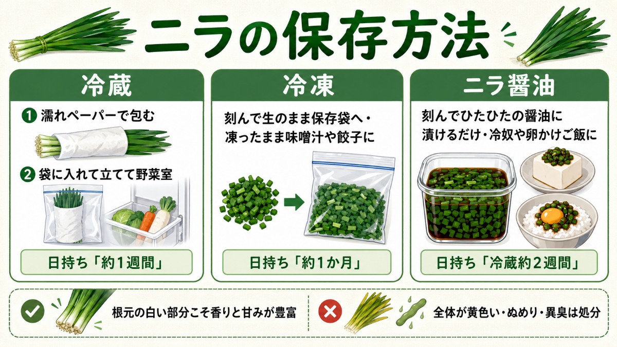 ニラの保存方法レシピカード（立てて冷蔵1週間・刻んで冷凍1か月・ニラ醤油のまとめ）