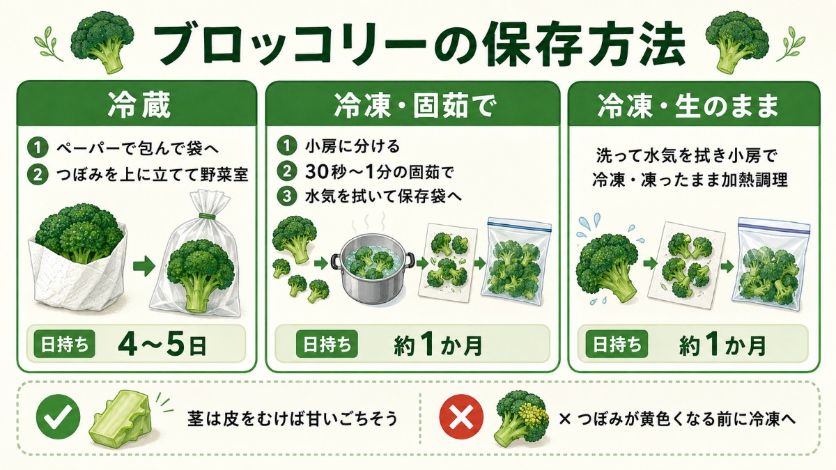 ブロッコリーの保存方法レシピカード（立てて冷蔵4〜5日・固茹で冷凍1か月のまとめ）