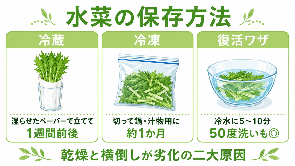 水菜の保存方法カード（湿らせたペーパーで立てて1週間・切って冷凍・50度洗い復活のまとめ）