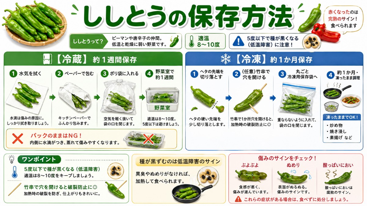 ししとうの保存方法カード（ペーパー＋袋で野菜室1週間・ヘタを取って丸ごと冷凍1か月・破裂防止の穴のまとめ）