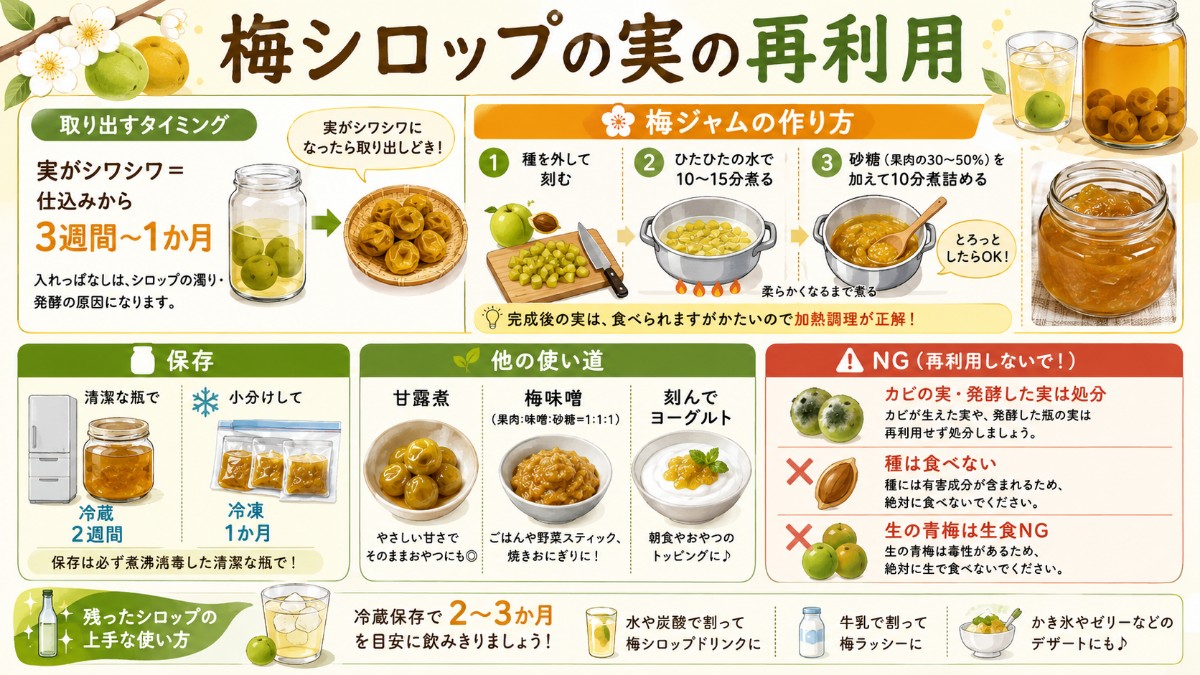 梅シロップの実の再利用カード（シワシワ3週間〜1か月で取り出し・梅ジャムの手順・冷蔵2週間冷凍1か月のまとめ）