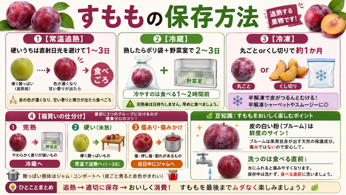 すももの保存方法カード（常温追熟1〜3日・野菜室2〜3日・丸ごと冷凍1か月・箱買い仕分け術のまとめ）
