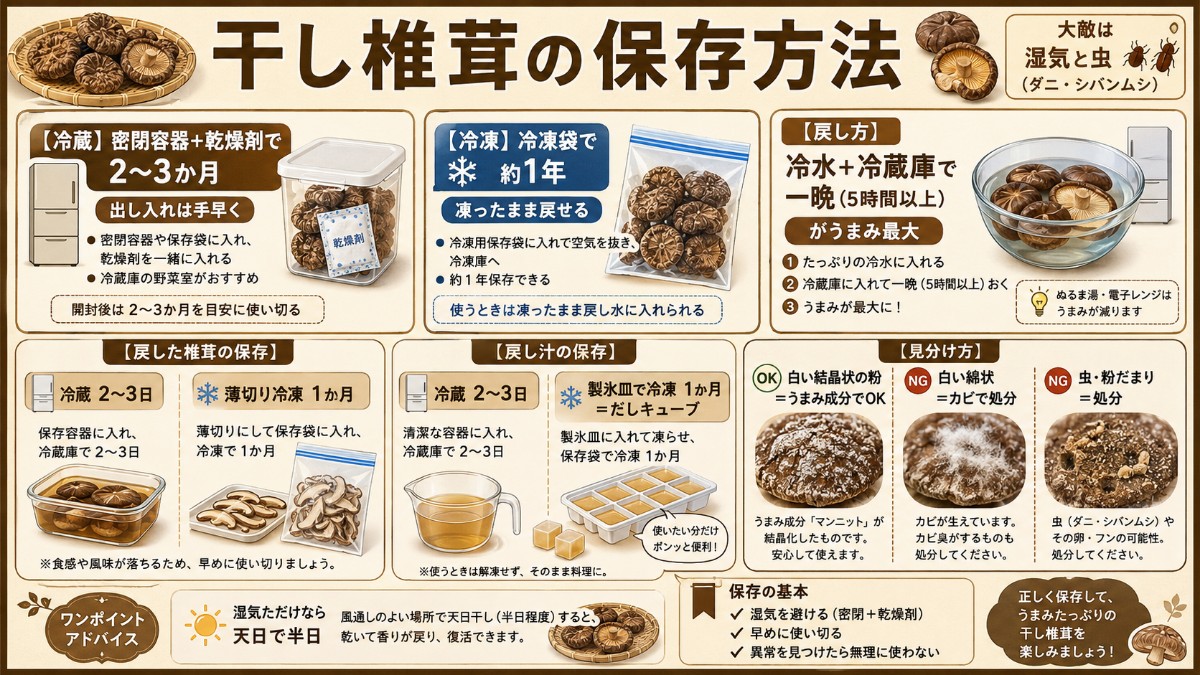 干し椎茸の保存方法カード（密閉＋乾燥剤で冷蔵2〜3か月・冷凍1年・白い粉はうまみのまとめ）