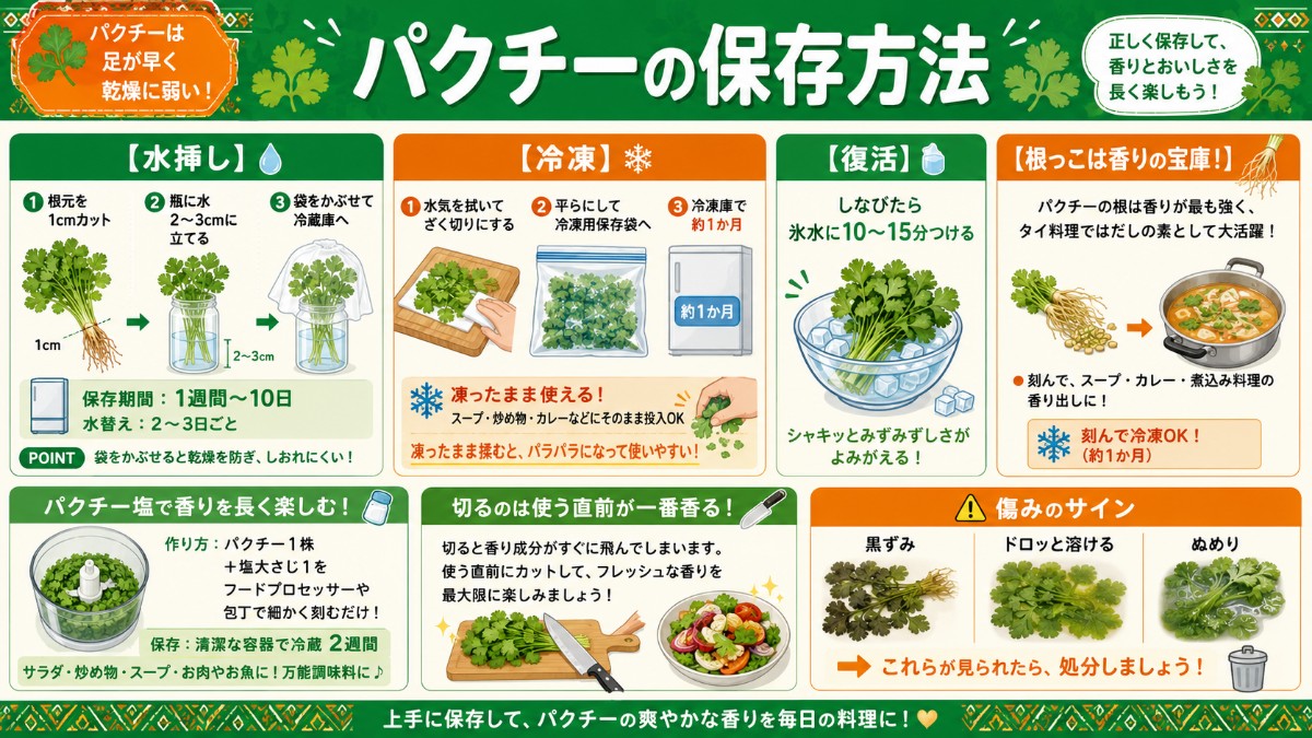 パクチーの保存方法カード（水挿しで1週間〜10日・刻んで冷凍1か月・根はだしのまとめ）