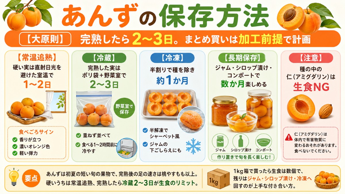 あんずの保存方法カード（常温追熟1〜2日・完熟したら冷蔵2〜3日・半割り冷凍1か月・ジャムで長期のまとめ）