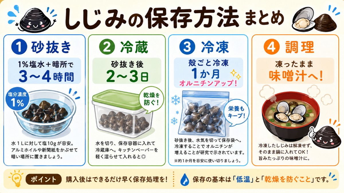 しじみの保存方法まとめカード（1%塩水砂抜き・冷蔵2?3日・殻ごと冷凍1か月のまとめ）