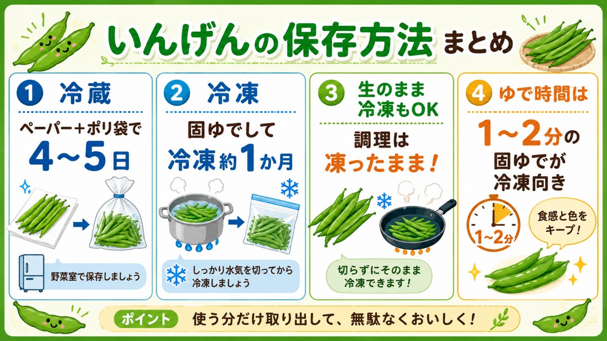 いんげんの保存方法まとめカード（冷蔵4?5日・固ゆで冷凍1か月・凍ったまま調理のまとめ）