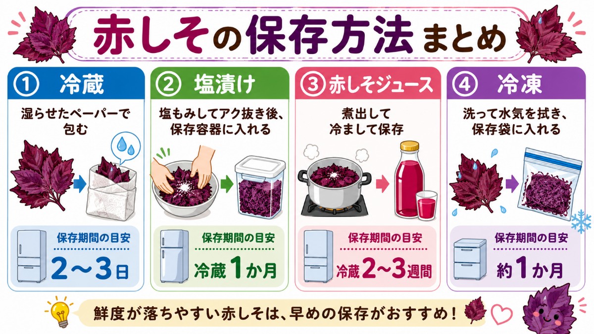 赤しその保存方法まとめカード（冷蔵2?3日・塩漬け1か月・ジュース2?3週間・冷凍1か月のまとめ）
