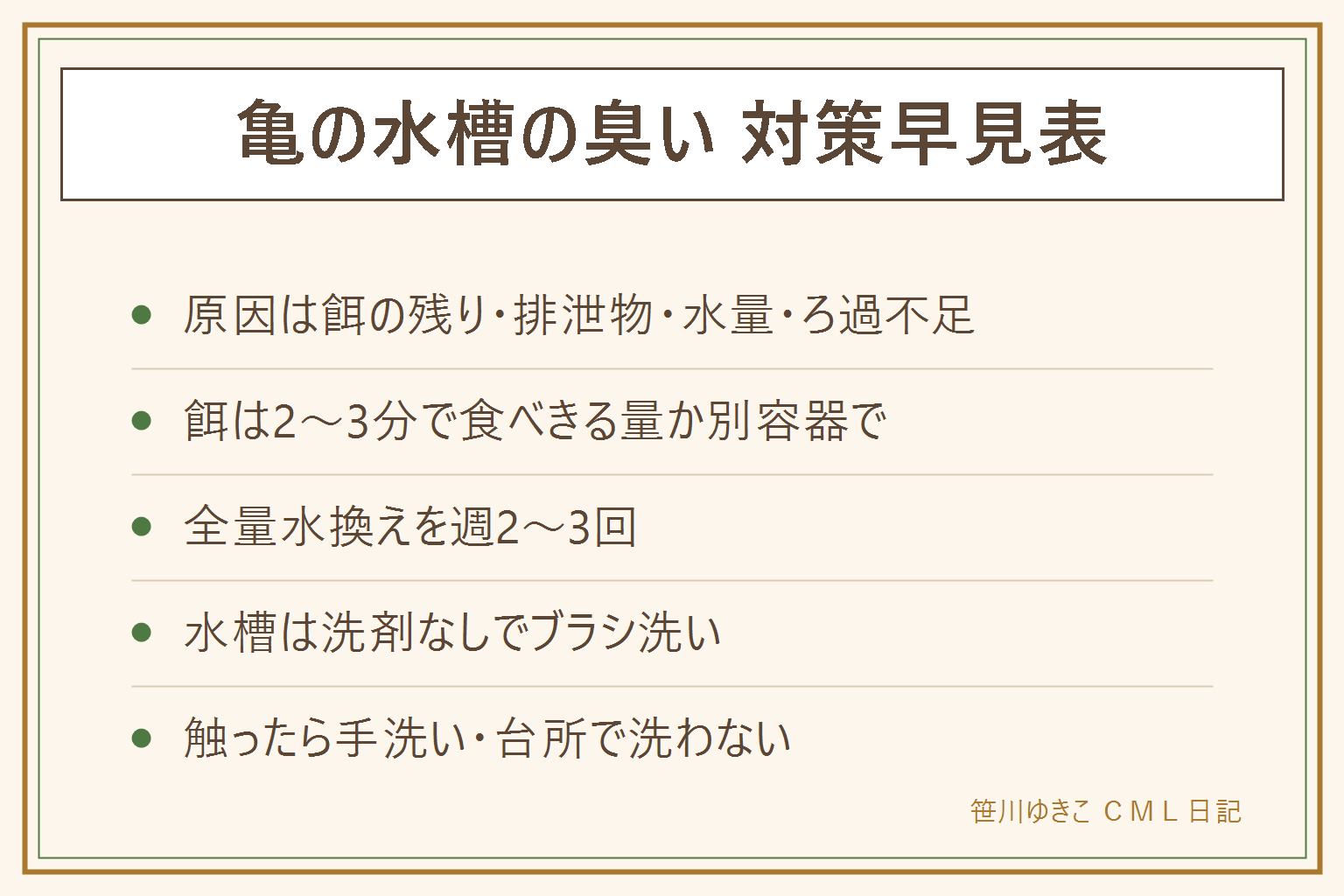 亀の水槽の臭い対策早見表:原因は餌の残り、排泄物、少ない水量、ろ過不足。餌は2、3分で食べきる量か別容器給餌、全量水換え週2、3回、亀用フィルターと乾ける陸場。水槽は洗剤なしでブラシ洗い、ぬめりは重曹とすすぎ徹底。触ったら石けんで手洗いして台所で洗わない
