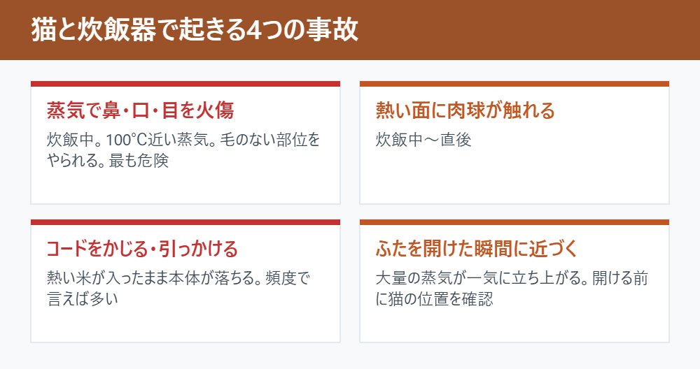猫と炊飯器で起きる4つの事故