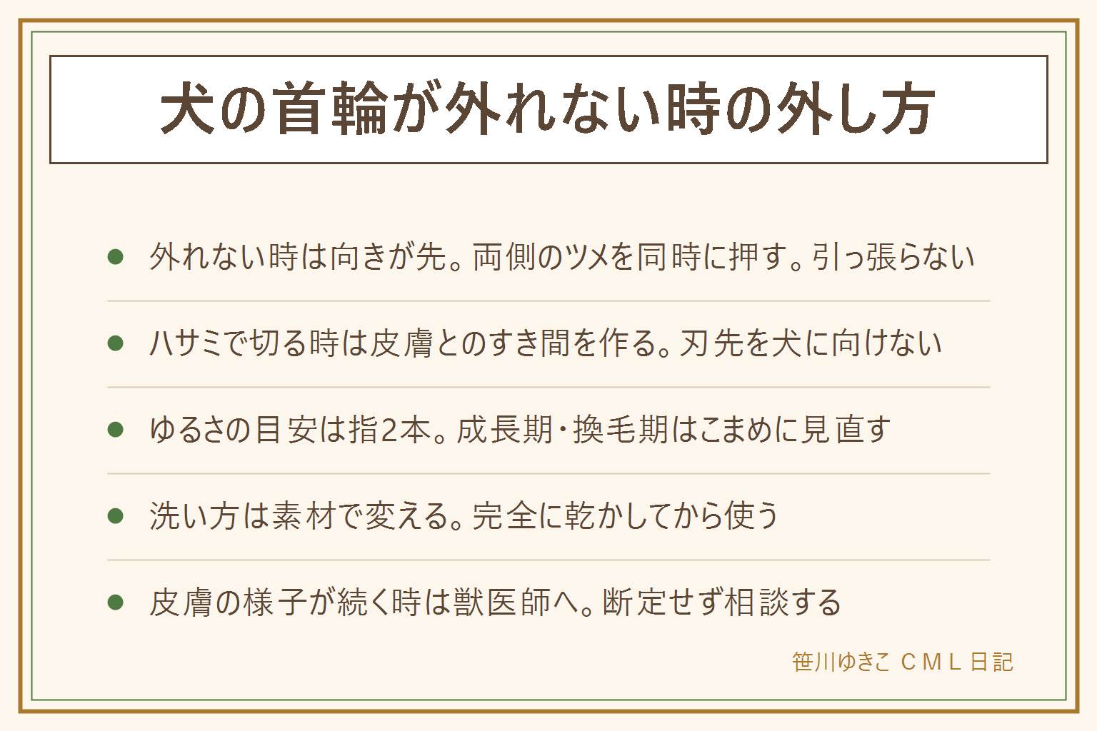 犬の首輪が外れない時の早見表:バックルが固い時は両側のツメを同時に内側へ押し、引っ張らない。ハサミで切る時は刃先を外側に向けて皮膚とのすき間を作ってから。ゆるさの目安は指2本、成長期や換毛期はこまめに見直す。洗い方はナイロンや布は中性洗剤でつけ置き、革は固く絞った布で拭く程度、バックルの溝は歯ブラシでかき出して流水でしっかり流す。乾かしてから首に戻す。つけっぱなしにする場合は迷子札や鑑札をつけ、時々ずらして皮膚の様子を見る。赤みやかゆみが続く時は自己判断せず獣医師に相談する。バックルの緩みやベルトのほつれ、においが取れない時は買い替えのサイン