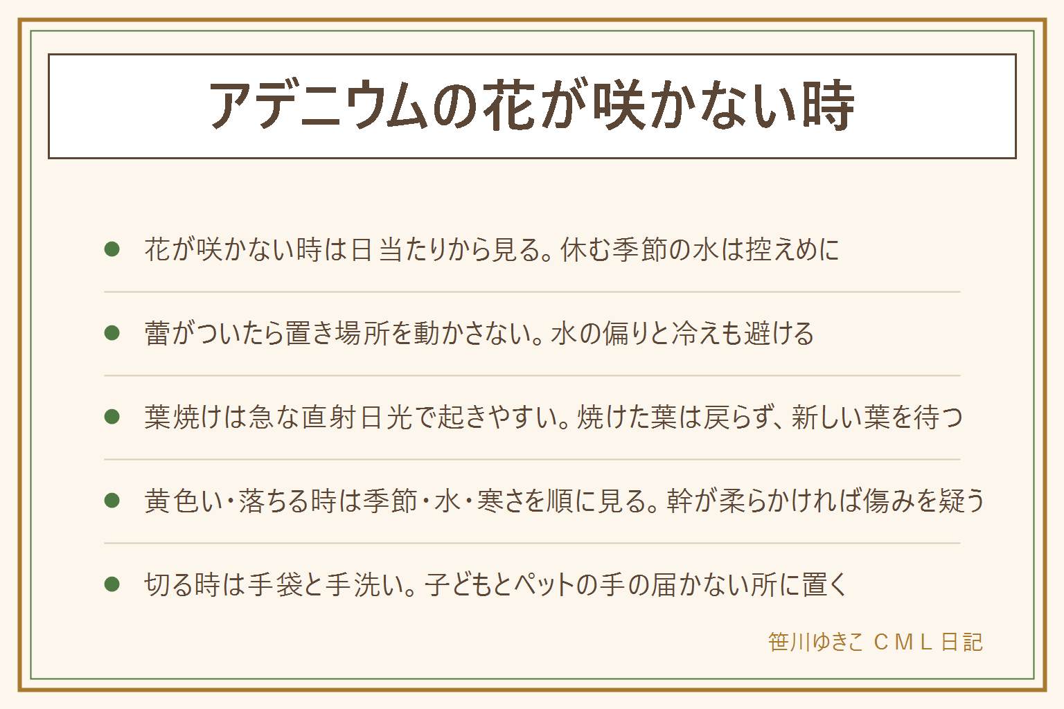 アデニウムの花が咲かない時の早見表:花が咲かない時は日当たり、水の強弱、株の状態を順に見る。蕾が落ちる時は置き場所を急に変えず、水の偏りや冷えを避ける。葉焼けは急な強い日差しで起きやすく、焼けた葉は戻らないので新しい葉を待ち、日差しは少しずつ慣らす。葉が黄色い・落ちる時は季節、水、寒さを順に見る。水やりのサインは幹の張りと鉢の重さ。剪定は枝の分かれ目の少し上で、清潔なはさみを使い、切り口の樹液は手袋と手洗いで。子どもとペットの手の届かない所に置く