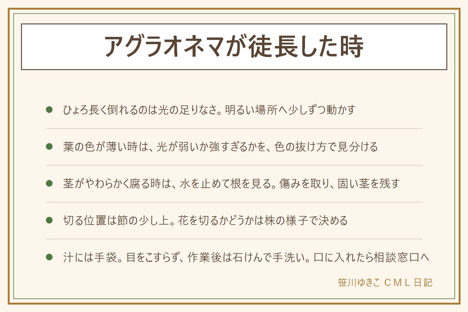 アグラオネマが徒長した時の早見表:ひょろ長く倒れるのは光の足りなさで、明るい場所へ少しずつ動かし、倒れそうなら支柱で支える。茎がやわらかく腐る時は水を止めて鉢から抜き、傷んだ所を清潔なはさみで取り、固い茎の節の少し上で切り分ける。葉の色が薄い時は光が弱いか強すぎるかを色の抜け方で見分ける。花の穂は株の様子を見て切るか決める。切ると出る汁には薄手の園芸用手袋、目をこすらず作業後は石けんで手洗い、口に入れたら医療機関か中毒の相談窓口へ。ディフェンバキアとは葉の大きさや斑で見分けるが品種で幅がある
