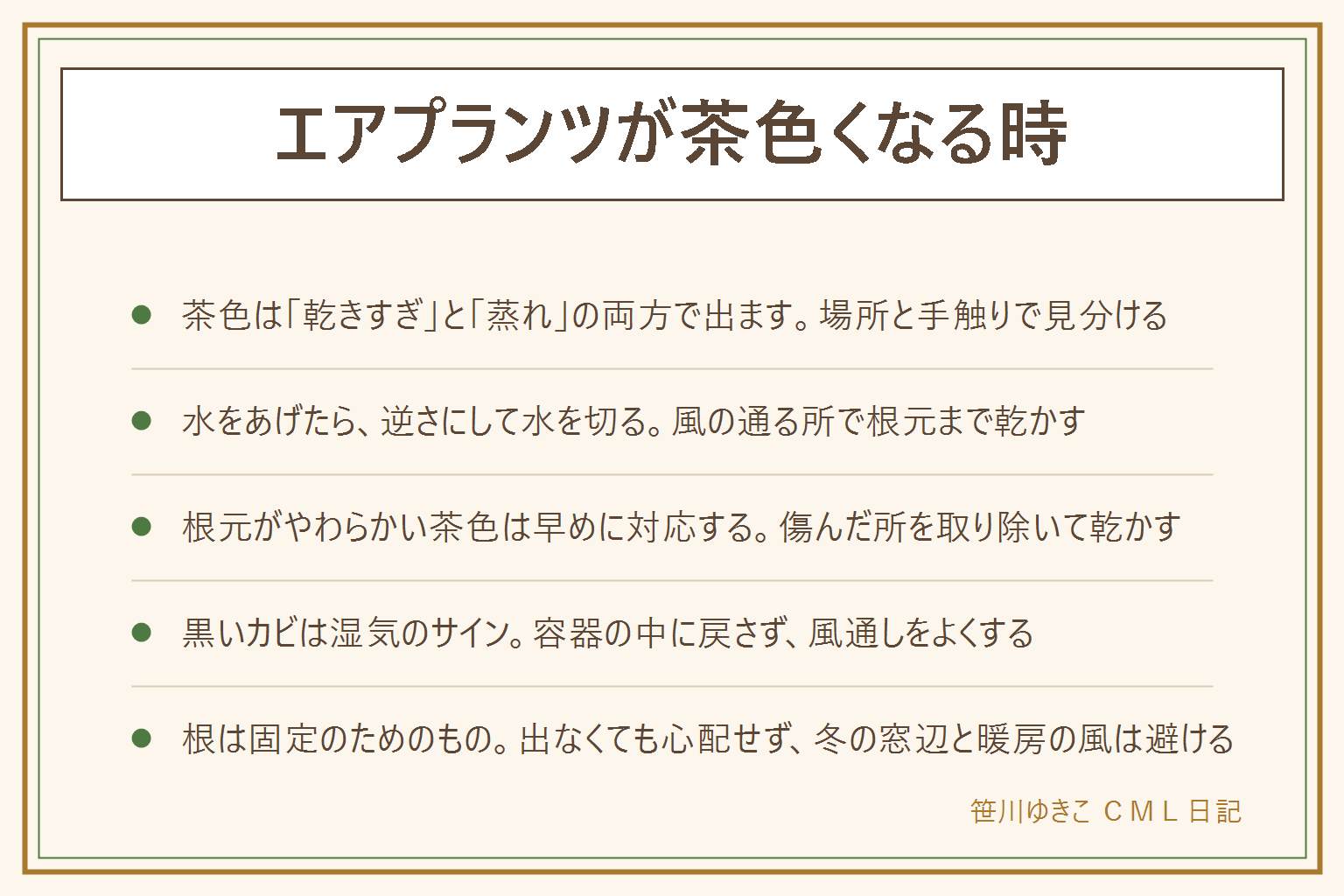 エアプランツが茶色くなる時の早見表:茶色は乾きすぎと蒸れの両方で出る。葉の先だけ茶色でかさかさなら乾燥や古い葉の入れ替わり。根元が茶色でやわらかいのは蒸れのサインで早めに対応する。水をあげたら逆さにして葉の間の水を切り、風通しのよい明るい場所で根元まで乾かす。霧吹きと水に浸す方法があり、時間や間隔は品種の説明書きで確かめる。黒いカビは湿気のサインで、傷んだ部分を取り除いて乾かし、容器の中に戻さない。冬の窓辺や暖房の風を避ける。根は固定のためのものなので出なくても心配せず、ひょろ長い時は光が足りないことがある。小さな子どもとペットの口に入らない所に飾る