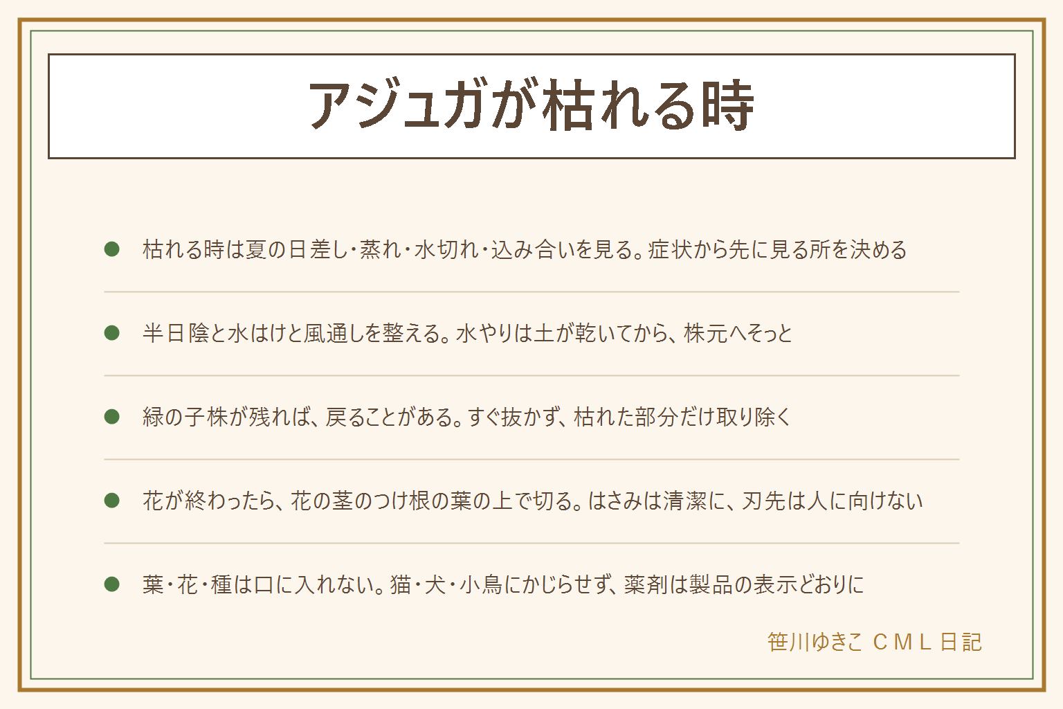 アジュガが枯れる時の早見表:夏の強い日差しと蒸れ、水切れ、込み合いを先に見る。午後の日が強く当たる場所は避けて半日陰に、受け皿の水は捨て、水やりは土の表面が乾いてから朝か夕方に株元へ。株の一部が枯れても緑の子株が残っていれば戻ることがあるので、すぐ抜かず枯れた部分だけ取り除く。花が終わったら花の茎をつけ根の葉のすぐ上で切り、はさみは清潔にして刃先は人に向けない。花が咲かない時は日当たりと込み合いと夏の傷みを見る。葉・花・種は口に入れず、猫・犬・小鳥にかじらせない。薬剤や肥料は製品の表示どおりに使う