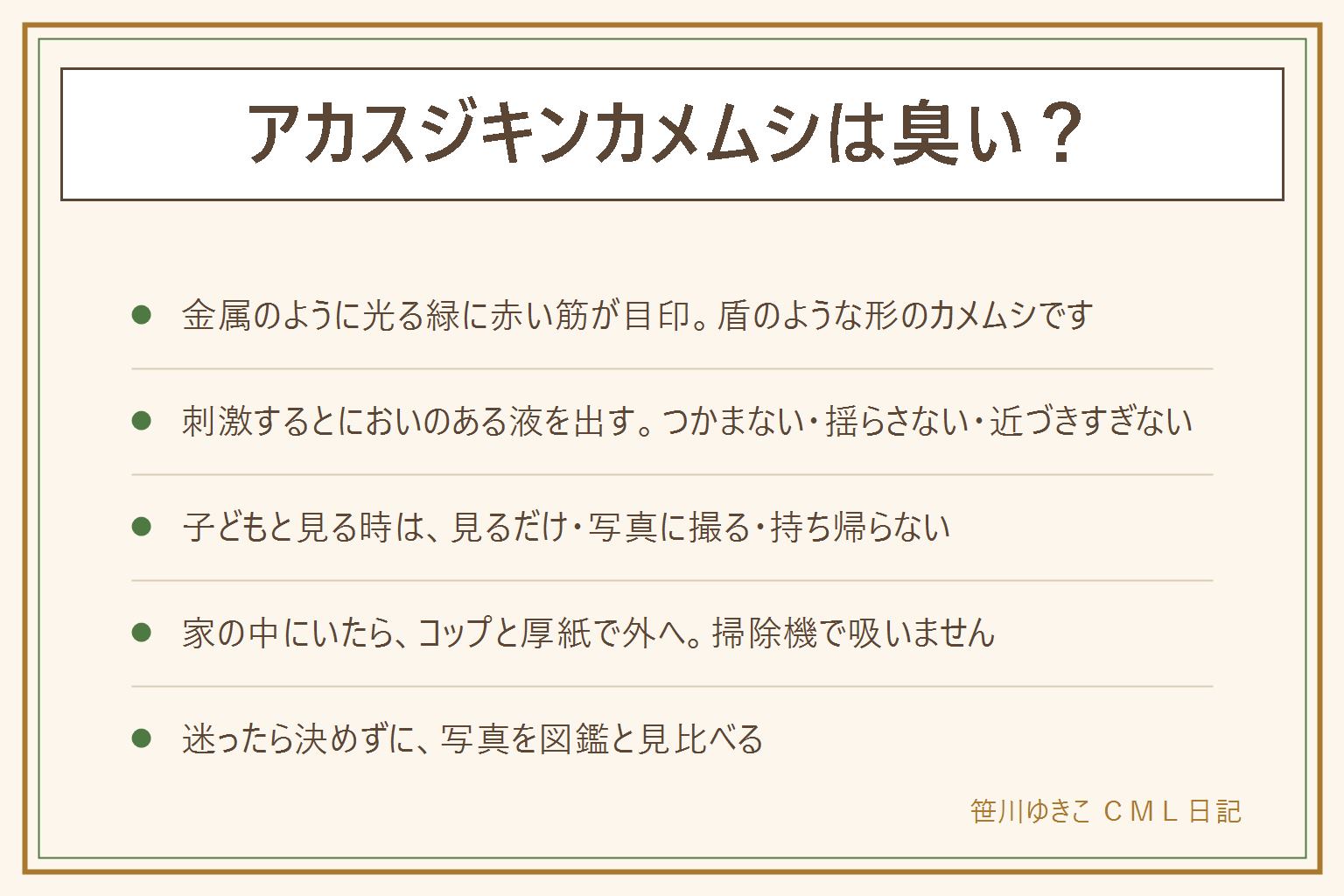 アカスジキンカメムシは臭い?の早見表:金属のように光る緑色に赤い筋の模様が入った、盾のような形のカメムシのなかま。刺激するとにおいのある液を出すことがあるので、つかまない、葉や枝を揺らさない、近づきすぎない。においが手についたら石けんで洗う。子どもと見る時は見るだけ、写真に撮る、持ち帰らない、枝を折らない。家の中にいたら素手でつかまず、コップをかぶせて厚紙を差し込み、外の草や木の根元へ放す。掃除機で吸わない。迷ったら名前を決めず、写真を撮って図鑑と見比べる
