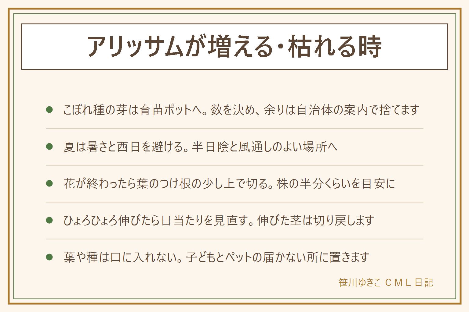 アリッサムが増える・枯れる時の早見表:こぼれ種の芽は育苗ポットにそっと移して数を決め、余りは自治体の案内で捨てる。夏に枯れる理由は暑さ、西日、水の与え方、根の詰まり。午後は半日陰で風を通す。花が終わったら葉のつけ根の少し上で切り戻し、株の半分くらいを目安にする。花が咲かない、ひょろひょろ伸びた時は日当たりを見直す。スーパーアリッサムは暑さに比べて強いと言われる。葉や種は子どもとペットが口に入れない所に置く