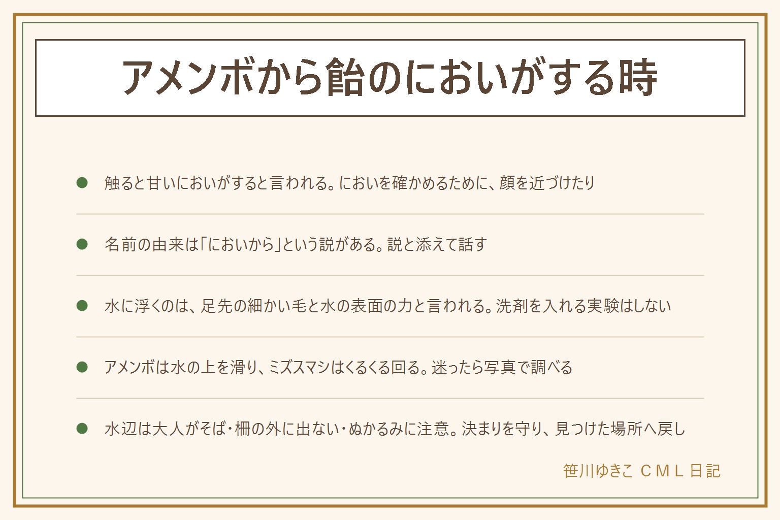 アメンボから飴のにおいがする時の早見表:触ると甘いにおいがすると言われ、名前の由来にも説がある。顔を近づけて嗅がず、触ったら石けんで手を洗う。水に浮くのは足先の細かい毛と水の表面の力と言われ、洗剤を入れる実験はしない。アメンボは水の上を滑り、ミズスマシは水面をくるくる回る。水辺は大人がそば、柵の外に出ない、ぬかるみに注意、公園や私有地の決まりを守り、見つけた場所へ戻す