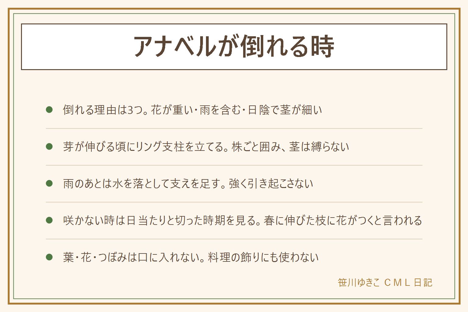 アナベルが倒れる時の早見表:倒れる理由は3つ、花が重い、雨を含む、日陰で茎が細い。芽が伸びる頃にリング支柱を株の外側へ立て、伸びたら輪を上げ、茎は縛りつけない。雨のあとは花の水を軽く落とし、重い花を少し切って支えを足し、折れた茎は無理に戻さない。咲かない時は日当たりと切った時期を見る、アナベルは春に伸びた枝に花がつくと言われ冬に切っても咲きやすい、一般的なアジサイは前の年の枝に花芽ができると言われ花のあとすぐに切る。葉と花とつぼみは口に入れず、料理の飾りにも使わない