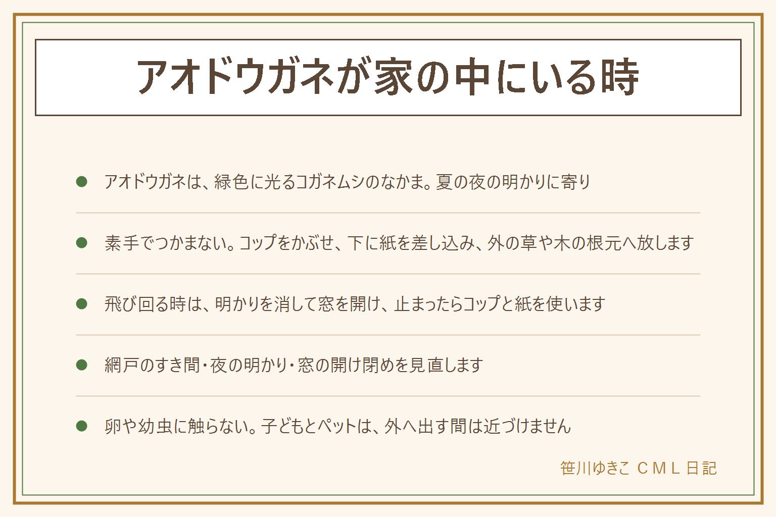 アオドウガネが家の中にいる時の早見表:アオドウガネは緑色に光るコガネムシのなかまで、夏の夜に明かりに寄り、網戸のすき間や開けた窓から入ることがある。外へ出す手順は、素手でつかまず、コップをかぶせて下に紙を差し込み、そのまま外の草や木の根元へ放す。飛び回る時は部屋の明かりを消して窓を開け、動きが止まったらコップと紙を使う。入りにくくするには、網戸のすき間、夜の明かり、窓の開け閉めを見直す。卵や幼虫に触らない、持ち帰らない、飼わない。子どもとペットは外へ出す間は近づけない