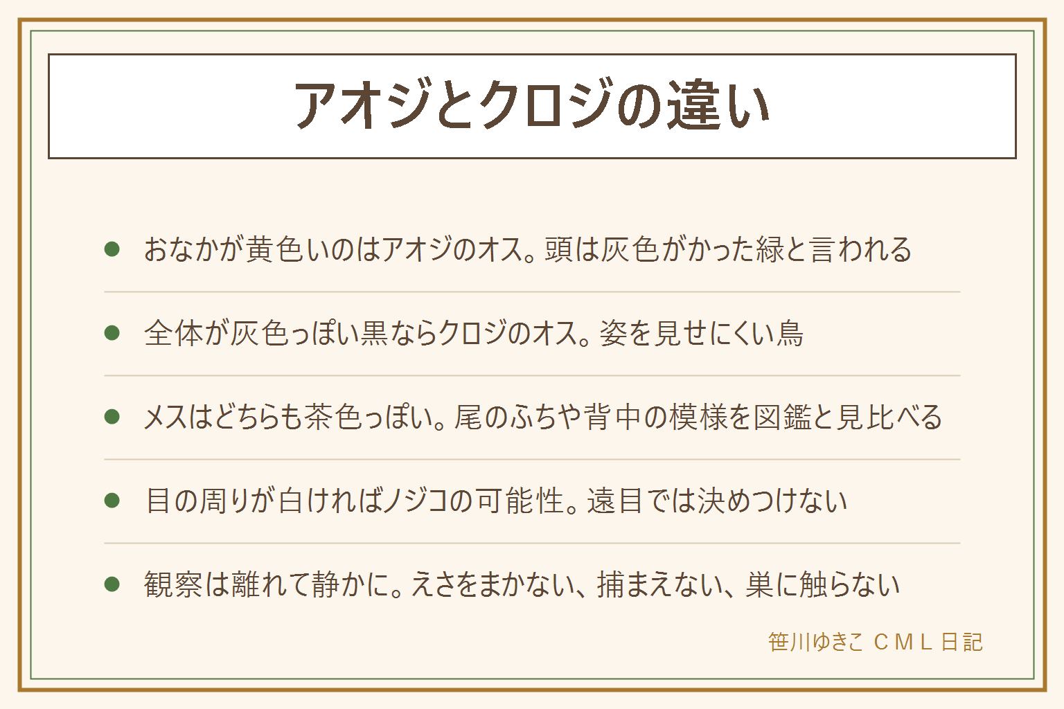アオジとクロジの違いの早見表:アオジのオスは頭が灰色がかった緑でおなかが鮮やかな黄色、冬に平地の林やぶや公園のやぶで地面近くにいる。クロジのオスは全体が灰色っぽい黒で姿を見せにくい。メスはどちらも茶色っぽくて見分けにくいので、尾のふちや背中の模様を図鑑と見比べる。目の周りが白いのはノジコの可能性。スズメは頬に黒い点がある。観察は野鳥が法律で守られているため、えさをまかず、捕まえず、巣に触らず、離れて静かに見る。