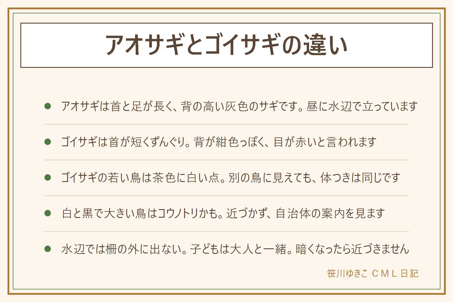 アオサギとゴイサギの違いの早見表:見分けは首の長さ、背の色、目の色、活動する時間の順。アオサギは首と足が長く背の高い灰色のサギで、昼に水辺で立つ。ゴイサギは首が短くずんぐりして、背中が紺色っぽく目が赤く、夕方から夜に動くことが多いと言われる。ゴイサギの若い鳥は茶色に白い点が入る。コウノトリは白い体に黒い翼の端と赤い足で、見られたら近づかず自治体の案内を見る。川や池では柵の外に出ない、子どもは大人と一緒、足元に注意。野鳥は捕まえない、えさをやらない、巣に触らない