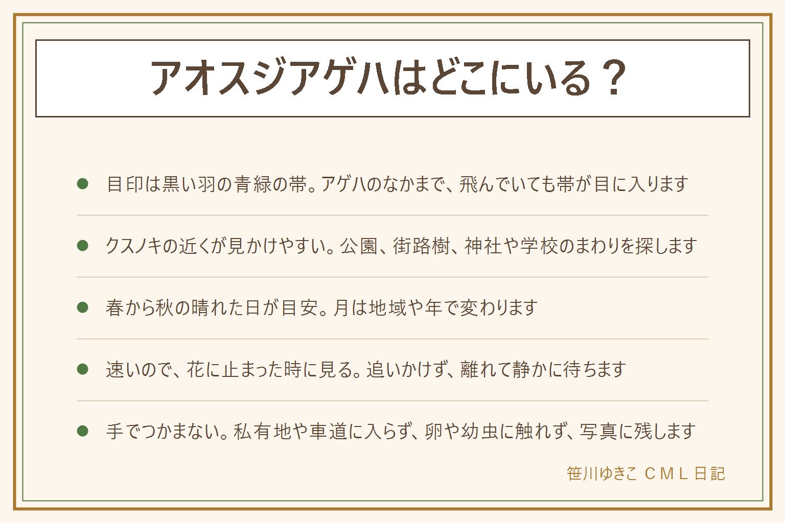アオスジアゲハはどこにいるかの早見表:黒い羽に青緑色の帯が通ったアゲハのなかまで、クスノキが植えられた公園や街路樹、神社や学校のまわりで見かけやすい。春から秋の晴れた明るい時間が目安で、月は地域や年で変わる。動きが速いので、花の近くで静かに待ち、止まった時に離れて見る、撮る。帯がなく後ろの羽に大きな白い紋があれば別のチョウかも。チョウは手でつかまない、羽の粉が落ちる。追いかけて私有地や立入禁止の場所、車道に入らない。卵、幼虫、さなぎに触らず持ち帰らない。子どもは大人と一緒に、犬は放さない