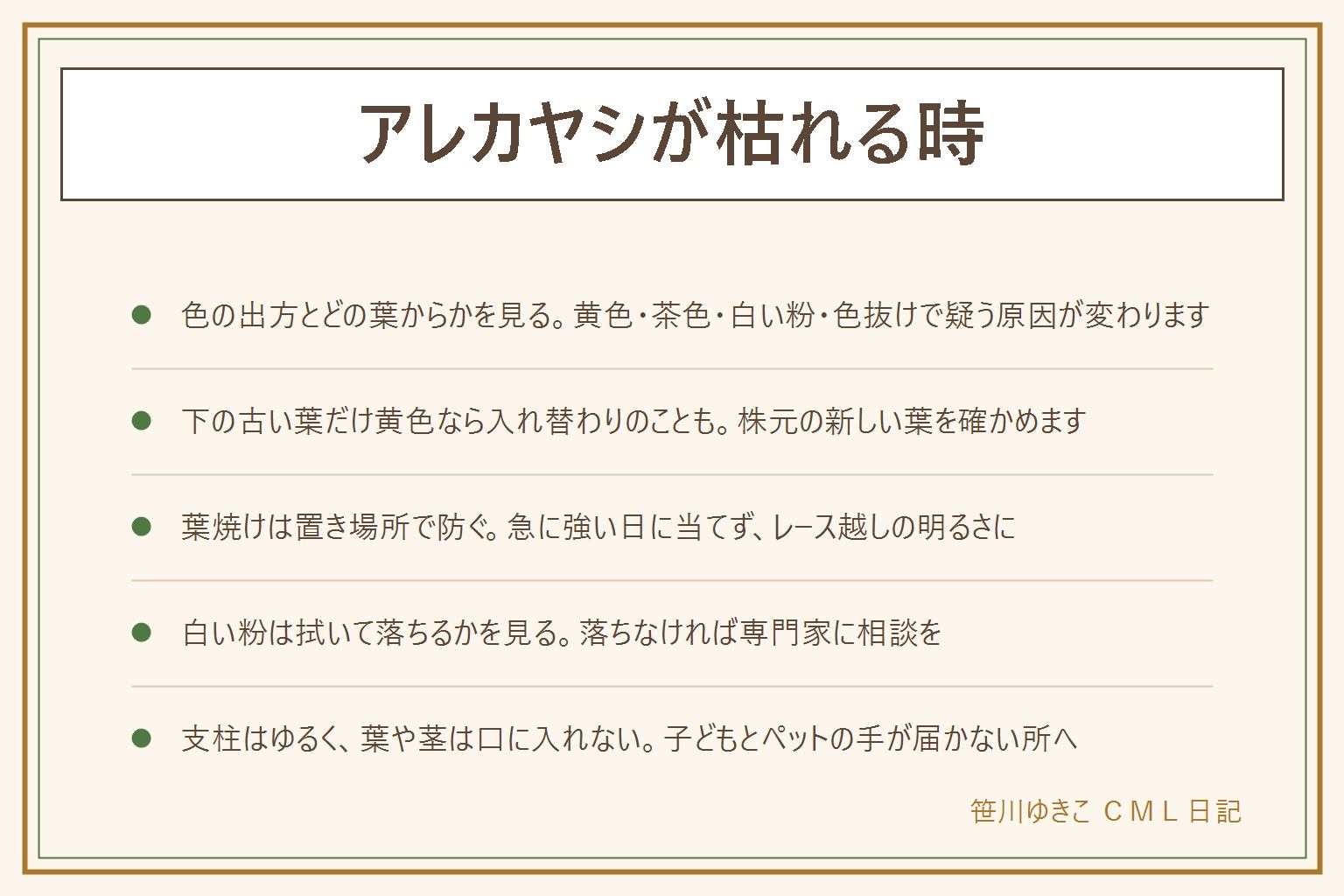 アレカヤシが枯れる時の早見表:色の出方とどの葉からかを見る。下の古い葉だけ黄色いのは入れ替わりのこともあり、株元に新しい葉があるか確かめる。葉先が茶色いのは乾燥や風、水の過不足を疑う。葉の表が白っぽいのは強い日差しの葉焼けで、レースのカーテン越しの明るさに置く。白い粉は濡らした布で拭いて落ちるかを見て、落ちなければ専門家に相談。株が開く時は鉢の縁の近くに細い支柱を差し、ひもを8の字にゆるく留める。ケンチャヤシ、テーブルヤシとは茎と葉の姿が違うのでラベルで確かめる。落ちた葉は子どもの口に入れず、ペットの届かない所に置く