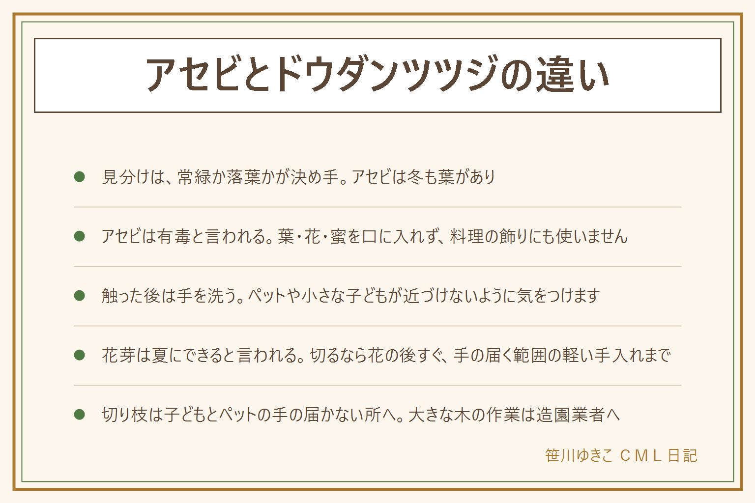 アセビとドウダンツツジの違いの早見表:アセビは常緑で冬も葉が残り、花の房が長く垂れる。ドウダンツツジは落葉で、秋に赤く紅葉し、冬は枝だけになり、花は枝先に数個ずつ下がる。アセビは有毒と言われるため、葉・花・蜜を口に入れない、料理の飾りに使わない、触った後は手を洗う、ペットや子どもがかじらないようにする、口に入れた時は医療機関や中毒の相談窓口へ。花芽は花が終わった後の夏にできると言われ、切るなら花の後すぐ、手の届く範囲の軽い手入れまで。匂いの感じ方には個人差がある。切り枝は子どもとペットの手の届かない所に置く。
