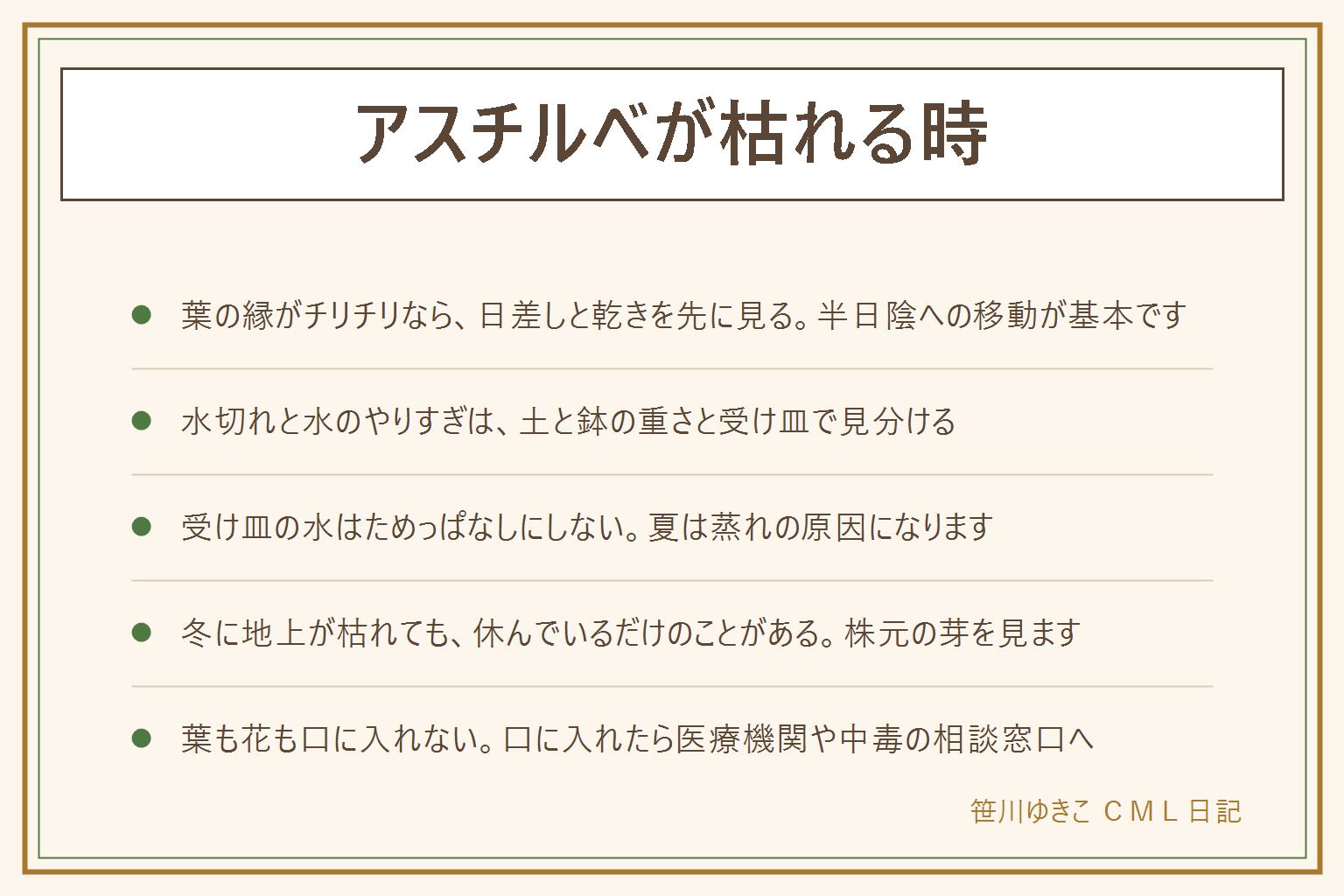 アスチルベが枯れる時の早見表:葉の縁がチリチリになるのは夏の強い日差しと乾きのことが多く、半日陰へ動かして傷んだ葉は清潔なはさみで取る。水切れか水のやりすぎかは、指で土を触る、鉢を持ち上げて重さを見る、受け皿の水を見るの3つで判断し、受け皿の水はためっぱなしにしない。冬に地上が枯れても休眠していることがあり、株元の小さな芽を確かめる。鉢植えは置き場所と根づまりを見直す。葉も花も子どもとペットの口に入れない