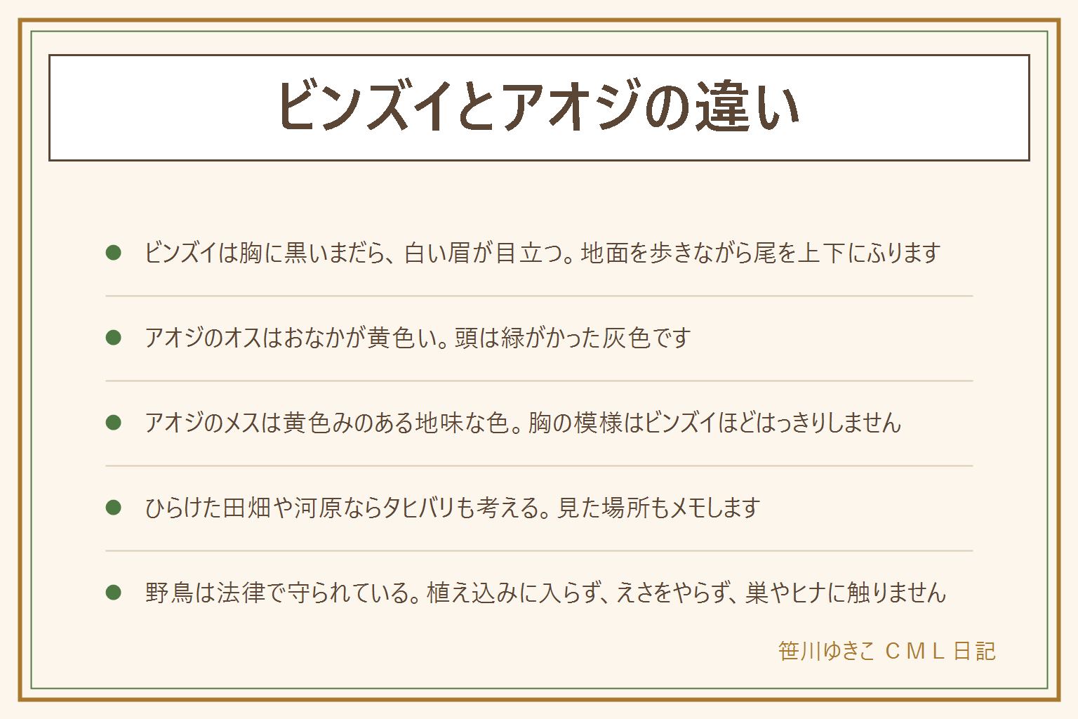 ビンズイとアオジの違いの早見表:ビンズイは緑がかった茶色の背中、胸に黒い縦のまだら模様、白い眉の線が目立ち、地面を歩きながら尾を上下にふる。アオジのオスはおなかが黄色く頭が緑がかった灰色。メスも黄色みのある地味な色で、胸の模様はビンズイほどはっきりしない。ひらけた田畑や河原にいる時はタヒバリも考える。決めきれない時は写真を撮って図鑑と見比べる。公園では植え込みや立入禁止の場所に入らない、枝を折らない。野鳥は法律で守られているので、捕まえない、飼わない、えさ(パンを含む)をやらない、巣やヒナに触らない、巣箱やえさ台をかけない。犬は放さず、子どもは大人と一緒に