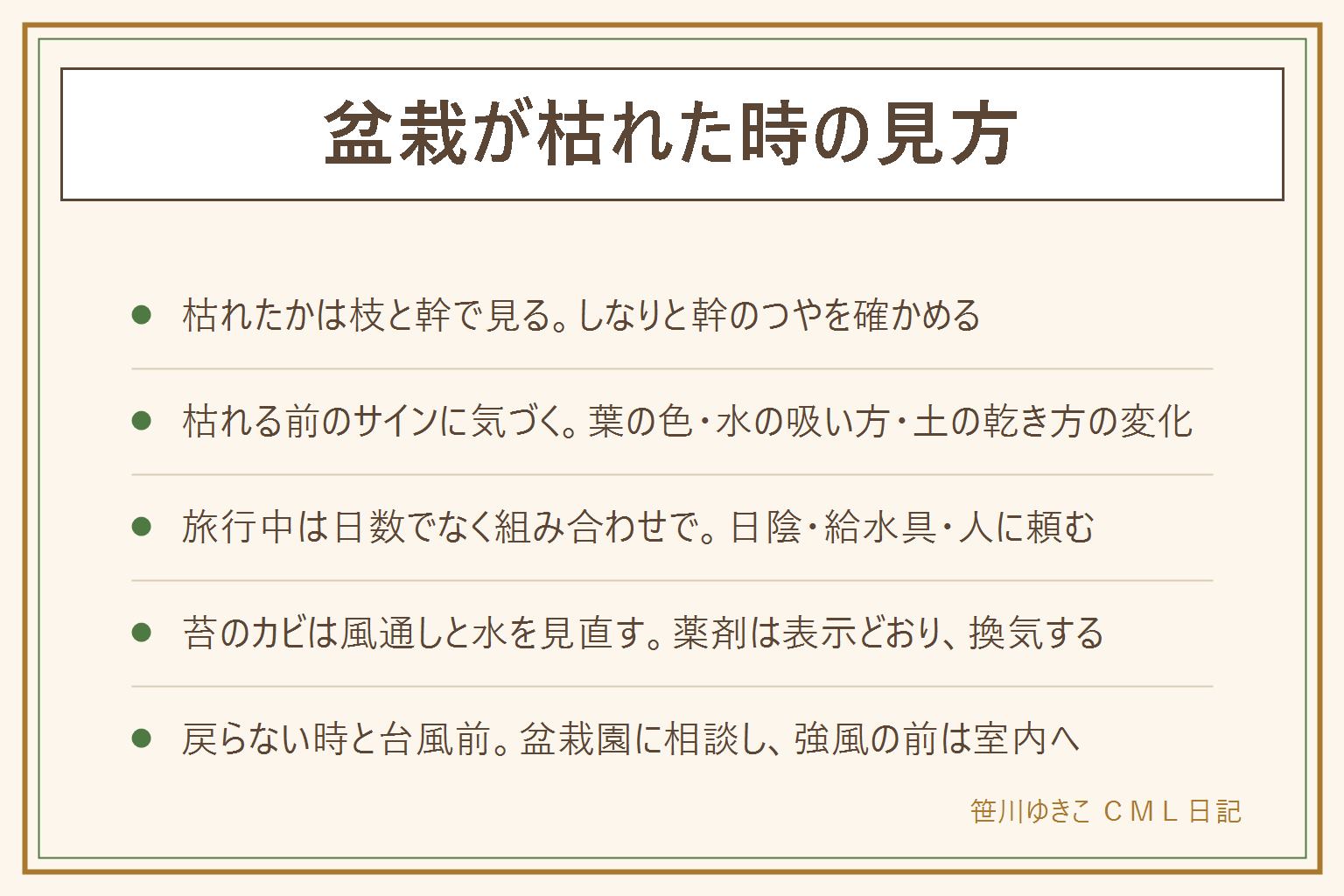盆栽が枯れた時の見方の早見表:枯れたかどうかは葉より枝と幹で見る。枝先がしなる、幹につやがあるなら生きている可能性、ぽきっと折れる、幹がしわしわなら傷んでいる可能性。枯れる前のサインは葉の色の変化、水の吸い方、土の乾き方、新芽の動き、においの変化。旅行中の水やりは日数で決めず、明るい日陰へ移す、給水具を使う、人に頼む、を組み合わせる。表面の苔のカビは風通しと水の与えすぎを見直し、見える部分を取り除き、薬剤は表示どおり換気して子どもとペットを近づけない。戻らない時は写真を持って盆栽園や園芸店に相談。台風や強風の前は鉢を室内へ、高い棚の上に置きすぎない