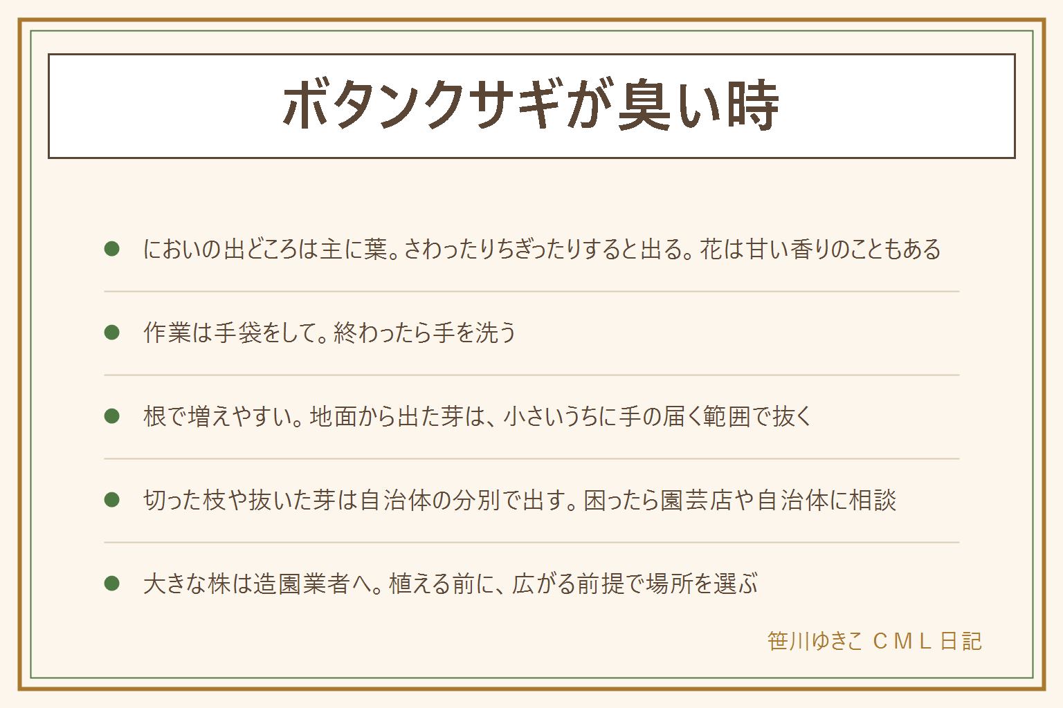 ボタンクサギが臭い時の早見表:ボタンクサギは夏にピンクの小さな花が丸く集まって咲く低木。においの出どころは主に葉で、さわったりちぎったりすると出る。花は甘い香りがすることもある。作業は手袋をして、終わったら手を洗う。根で増えやすいので、地面から出た芽は小さいうちに手の届く範囲で抜く。切った枝や抜いた芽は自治体の分別で出す。薬剤に頼る前に園芸店や自治体に相談。大きな株は造園業者へ。隣の敷地との境目は勝手に切らない。植える前に広がる前提で場所を選ぶ