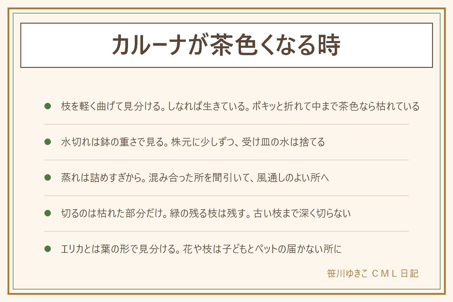 カルーナが茶色くなる時の早見表:冬に葉や花が茶色っぽく変わる種類があるので、まず細い枝を軽く曲げて、しなって中が緑なら生きている、ポキッと折れて中まで茶色なら枯れていると見分ける。葉が落ちる時は鉢の重さで水切れを見て、株元に少しずつ水をやり受け皿の水は捨てる。寄せ植えで詰めすぎると蒸れるので混み合った所を間引き風通しをよくする。枯れた枝だけを清潔なはさみで切り、緑が残る部分は残して古い枝まで深く切らない。エリカとは葉の形で見分ける。花や葉や枝は子どもやペットが口に入れないよう手の届かない所に置く