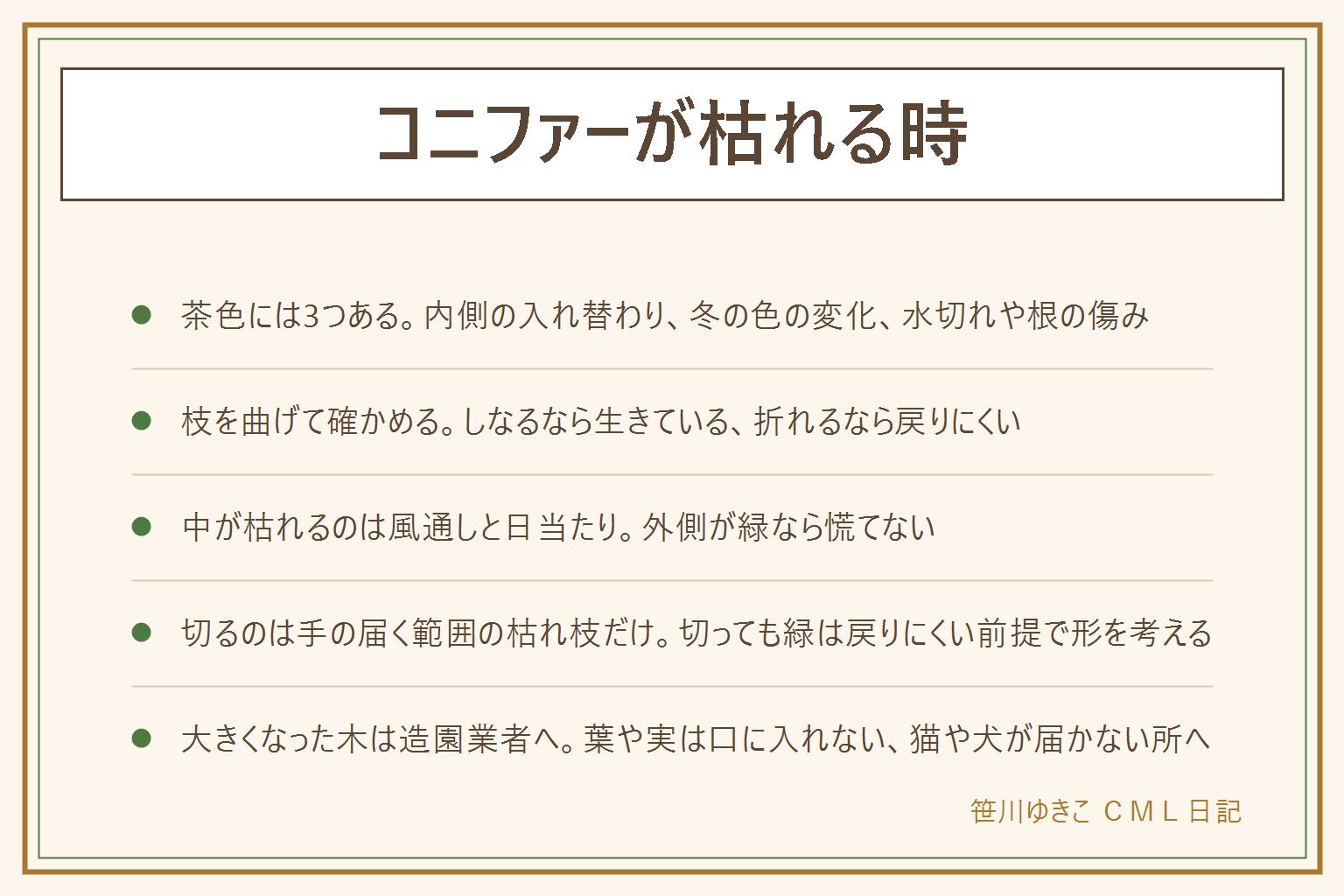 コニファーが枯れる時の早見表:茶色には内側の古い葉の入れ替わり、冬の色の変化、水切れや根の傷みの3つがある。まず枝を曲げて確かめ、しなるなら生きている、乾いて折れるなら戻りにくい。中が枯れる時は枝の重なりと風通しと内側の日当たりを見る。半分枯れた時は手の届く範囲の枯れた枝を元から清潔なはさみで切り、切っても緑は戻りにくい前提で形を考える。鉢植えは鉢の重さで水切れを見て受け皿の水を捨てる。品種はエメラルドグリーン、ブルーアイス、レッドスター、ゴールドクレスト、カイヅカイブキで色と葉の形と大きくなり方が違う。大きくなった木は造園業者に相談。葉や実を口に入れない、子どもの手の届かない所、猫や犬がかじらない所へ