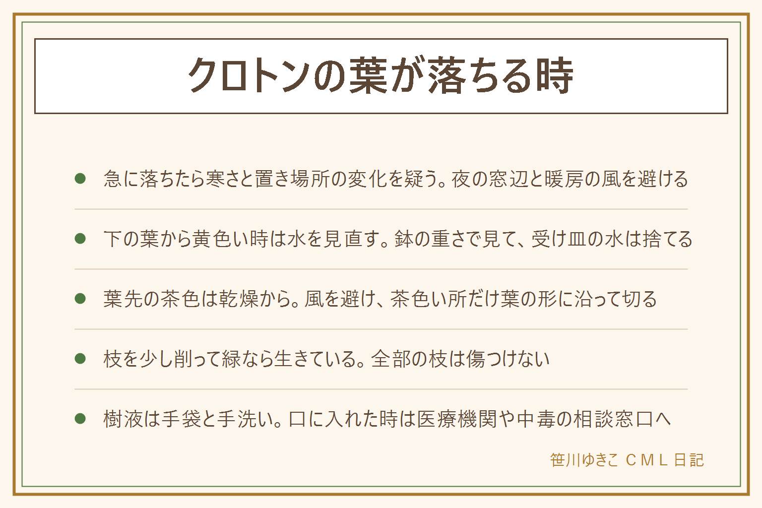 クロトンの葉が落ちる時の早見表:急にばさっと落ちたら寒さと置き場所の変化を見て、夜の窓辺と暖房の風を避ける。下の葉から黄色く落ちるなら水の与えすぎを見直し、鉢の重さで判断して受け皿の水は捨てる。葉先が茶色いのは乾燥で、風を避けて茶色い所だけ葉の形に沿って切る。枝を少し削って緑なら生きている。切り戻しは清潔なはさみで、葉や芽の少し上で切る。切ると出る樹液は手袋・目をこすらない・石けんで手洗い、口に入れた時は医療機関や中毒の相談窓口へ。子どもとペットの手の届かない所に置く
