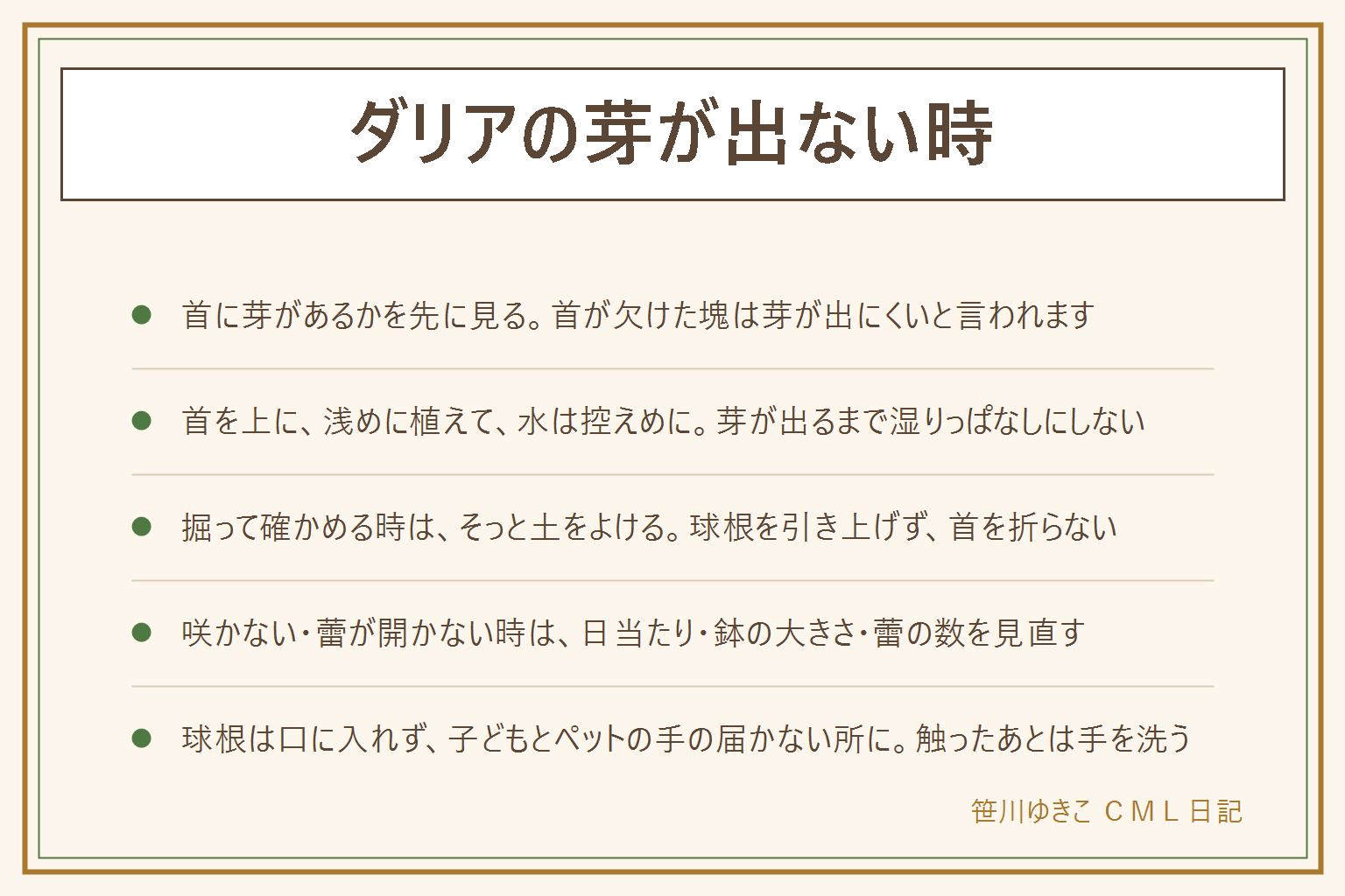ダリアの芽が出ない時の早見表:先に見る3つは、球根の首に芽がついているか、植える向きと深さ、水のやりすぎ。首を上にして浅めに植え、芽が出るまで水は控えめ。掘って確かめる時は、球根のまわりの土を少しよけて首を見る。黒ずんでぶよぶよなら傷んでいる可能性。咲かない時は日当たり、鉢の大きさ、水やり、暑さ。蕾が開かない時は蕾の数、暑さ、雨と風、水切れ。花が終わったら花の下の節の少し上で切り、葉は残す。冬の保管は葉が枯れてから掘り、新聞紙で包み、湿気の少ない涼しい所へ。球根は口に入れず、子どもとペットの手の届かない所に置き、触ったあとは手を洗う