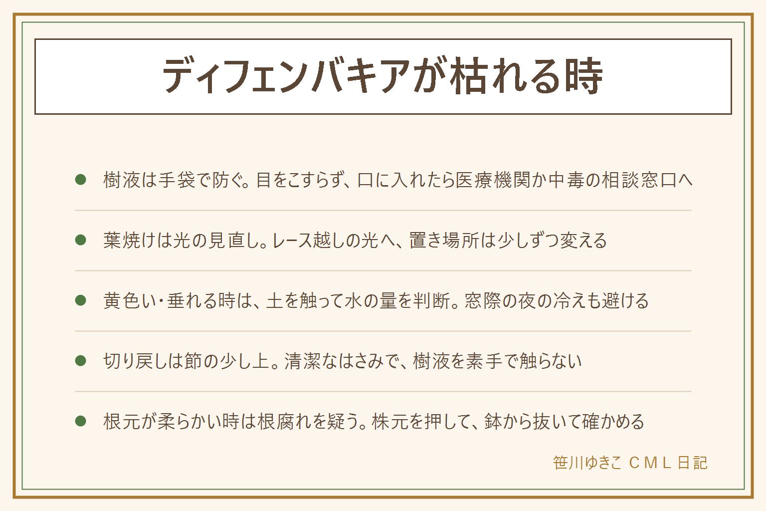 ディフェンバキアが枯れる時の早見表:樹液は刺激があるため切る時は手袋をして目をこすらず、口に入れたら医療機関か中毒の相談窓口へ。葉が白っぽい・茶色のまだらは葉焼けで強い光を避ける。ふちが茶色いのは乾燥や風。黄色い・垂れる時は土を触って水の量を判断し、窓際の夜の冷えも避ける。倒れる・伸びすぎは節の少し上で切り戻し、清潔なはさみで。根元が柔らかい時は根腐れを疑い、株元を押して鉢から抜いて確かめる。アグラオネマは茎や葉がやや細めで、樹液の扱いは同じ。樹液がついた服は洗濯表示を見てクリーニング店へ