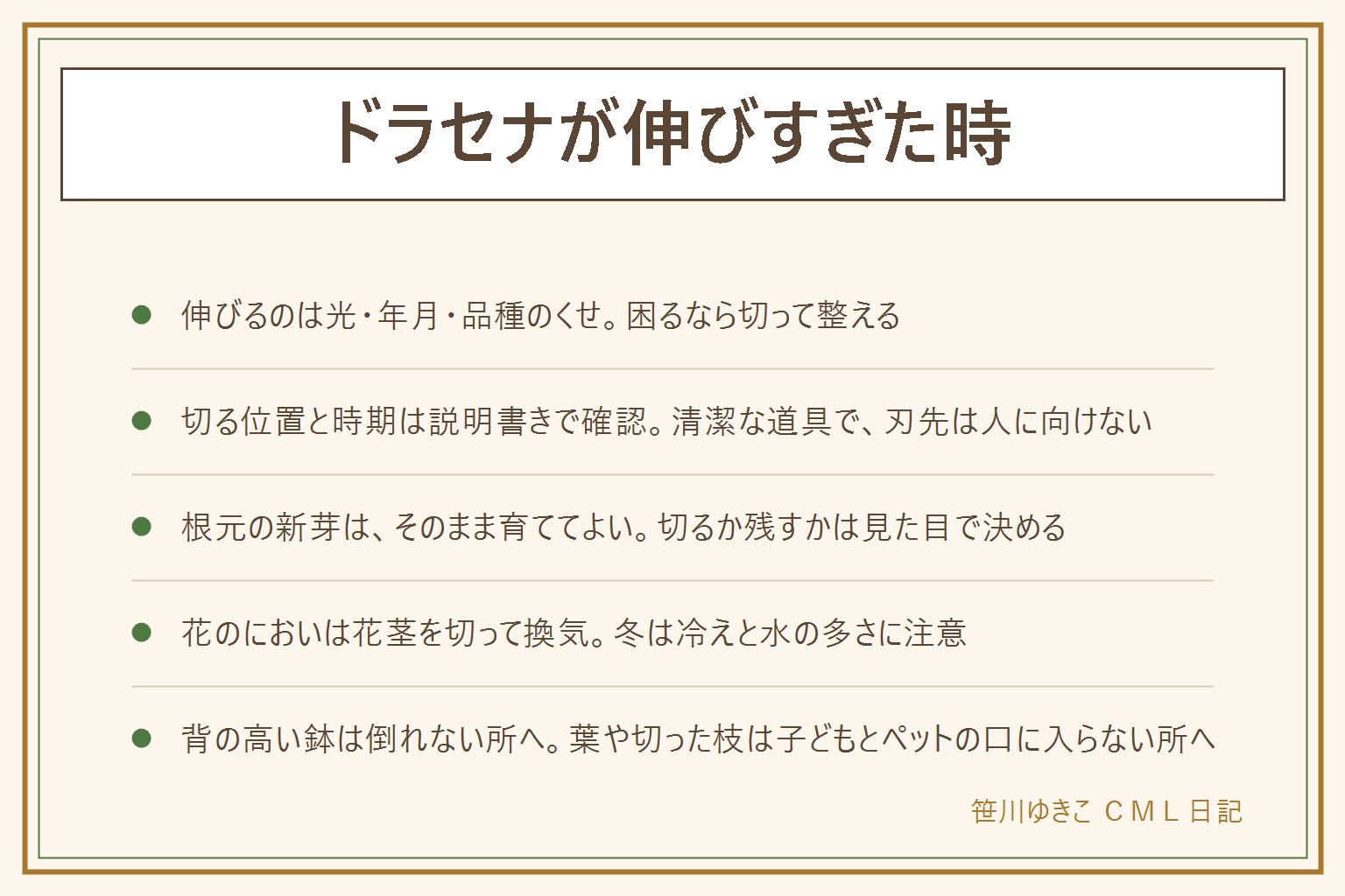 ドラセナが伸びすぎた時の早見表:伸びる理由は光が足りない・年月がたった・品種のくせ。切る位置と時期は品種の説明書きで確かめ、清潔な剪定ばさみやのこぎりで、刃先は人に向けない。切った上の部分は挿し木にできる。根元から出た新芽はそのまま育ててよい。花のにおいが強い時は花茎を切って換気する。冬は夜の窓辺の冷えと水の多さに注意し、土が乾いてから少しずつ。ユッカとは名札で見分ける。背の高い鉢は倒れない所に置き、切った葉や枝は子どもとペットの口に入らない所へ