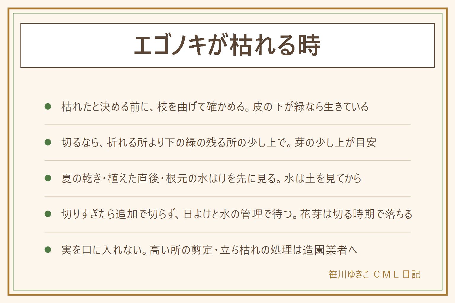 エゴノキが枯れる時の早見表:枯れたと決める前に枝を曲げて皮の下の緑を確かめる。ぽきっと折れる所より下の、緑の残る所の少し上、芽の少し上で切る。先に見るのは夏の乾き、植えた直後、根元の水はけ。根元から立ち枯れた時や高い所の剪定は造園業者へ相談。花が咲かない時は日当たりと、花芽を落とす切る時期を見直す。切りすぎたら追加で切らず日よけと水の管理で待つ。実は口に入れない、落ちた実は子どもの手の届かない所へ、口に入れたら医療機関や中毒の相談窓口へ。猫や犬はかじることがある
