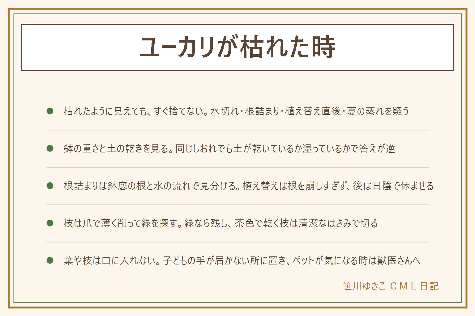 ユーカリが枯れた時の早見表:枯れたように見える原因は水切れ、根詰まり、植え替え直後、夏の蒸れの4つ。鉢を持ち上げて軽ければ水切れ、鉢底から根が出て水が流れるなら根詰まり。植え替えは根鉢を崩しすぎず、後は明るい日陰で休ませる。夏は西日と蒸れを避ける。枝は爪で薄く削り中が緑なら残す。葉や枝は子どもとペットの口に入らないよう手の届かない所へ。活力剤や肥料に頼らず置き場所と水やりを整える