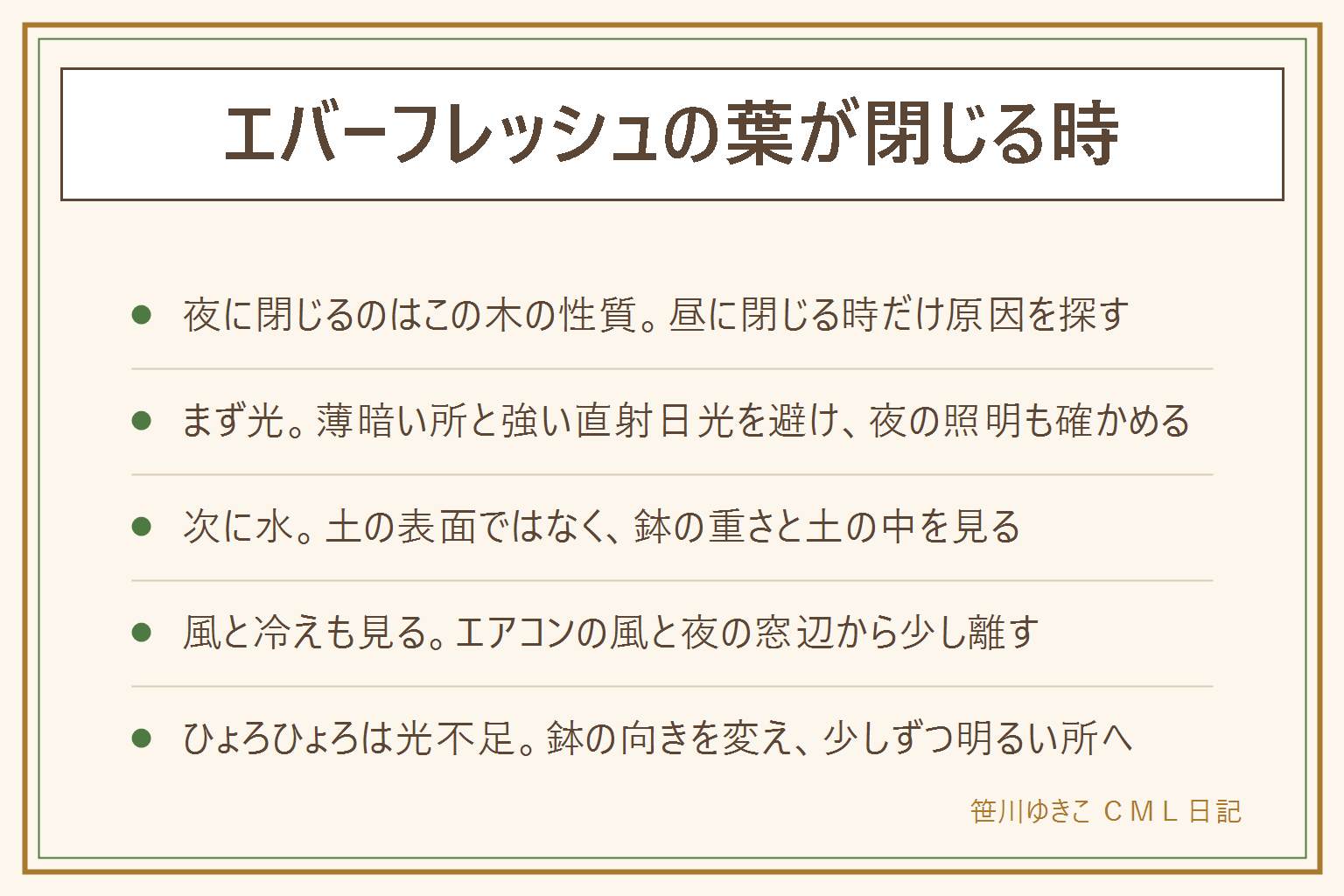 エバーフレッシュの葉が閉じる時の早見表:夜に閉じるのはこの木の性質。昼に閉じる時は光、水、風と冷えの順に見る。光は薄暗い場所と強い直射日光を避け、夜の照明が当たり続けていないか確かめる。水は鉢の重さと土の中を見て、受け皿の水は捨てる。エアコンの風と夜の窓辺の冷えから鉢を少し離す。ひょろひょろ伸びるのは光不足のことがあり、鉢の向きを変えて少しずつ明るい所へ。オジギソウは触れると閉じる、エバーフレッシュは光が弱くなる夜に閉じる。旅行中はレースカーテン越しの明るさを保つ。葉や枝は子どもとペットの手の届かない所に置く