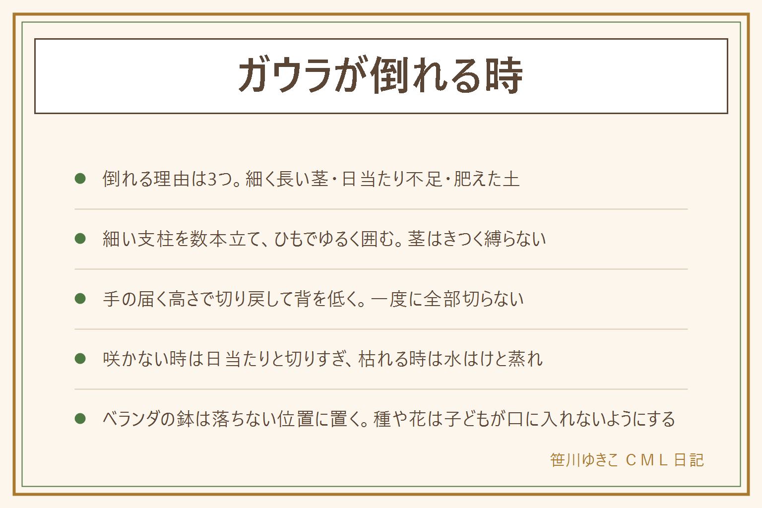 ガウラが倒れる時の早見表:倒れる理由は3つ、細い茎が長く伸びる、日当たりが足りない、肥えた土で伸びすぎる。細い支柱を株のまわりに数本立て、ひもでゆるく囲み、茎はきつく縛らない。手の届く高さで半分ほどに切り戻して背を低くし、一度に全部切らない。咲かない時は日当たりと切りすぎ、枯れる時は水はけと夏の蒸れを見る。ベランダの鉢は落ちても人に当たらない位置に置き、支柱の先で目を傷つけないよう気をつける。子どもが種や花を口に入れないよう、猫や犬がかじらないよう花がらは片付ける